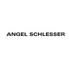 Angel Schlesser Изображение