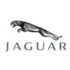 Jaguar Изображение