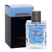 Iceberg Burning Ice edt m Изображение